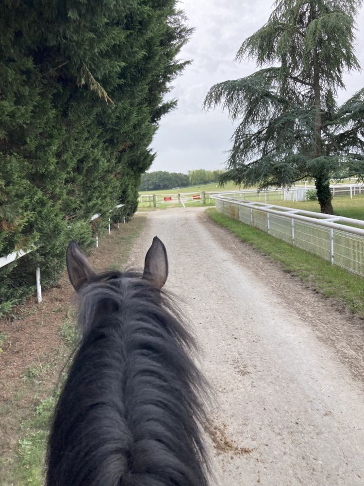 Comment les reformer sans connaitre leur passé ?