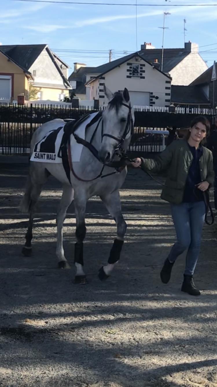 Parce qu’ils sont d’abord nés pour la course 