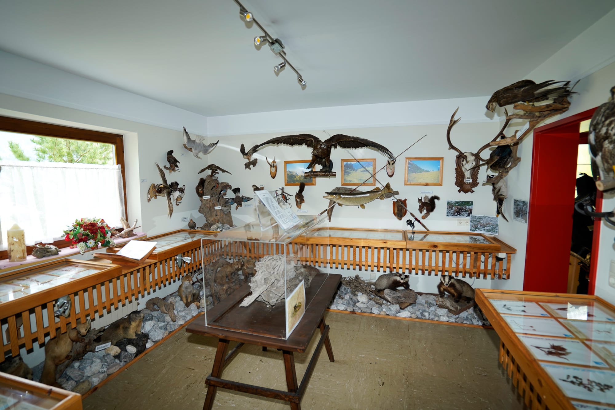 Flora und Fauna aus dem Achental