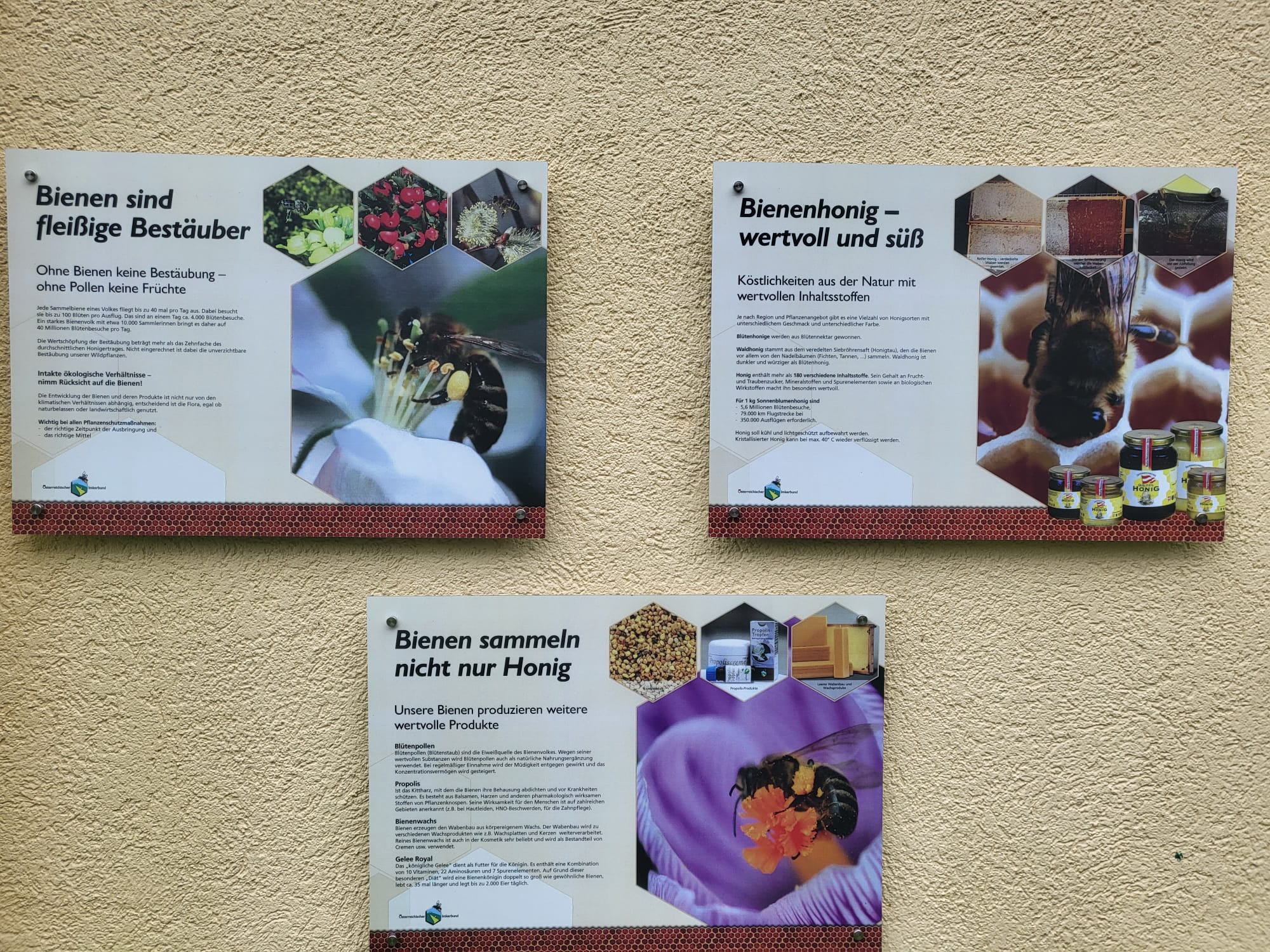 Die Entstehung des Honigs