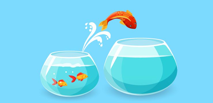 Appliquer les Leçons de Brené Brown à Votre Vie : Un Guide Pratique