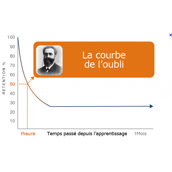 La Courbe de l'Oubli : Comment Maximiser la Rétention des Informations