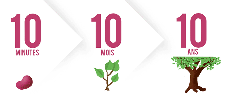 La Méthode 10/10/10 de Suzy Welch :   pour une bonne Prise de Décision