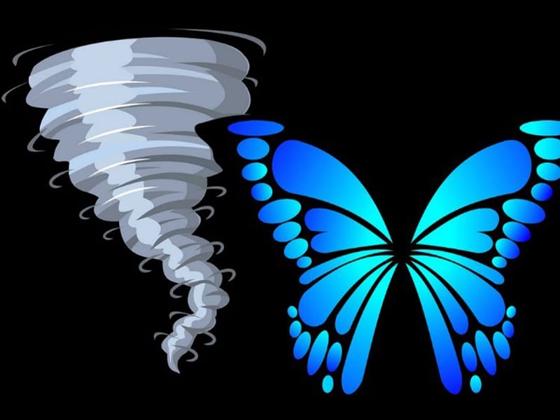 L'Effet Papillon  : Un Petit Battement, un Grand Changement