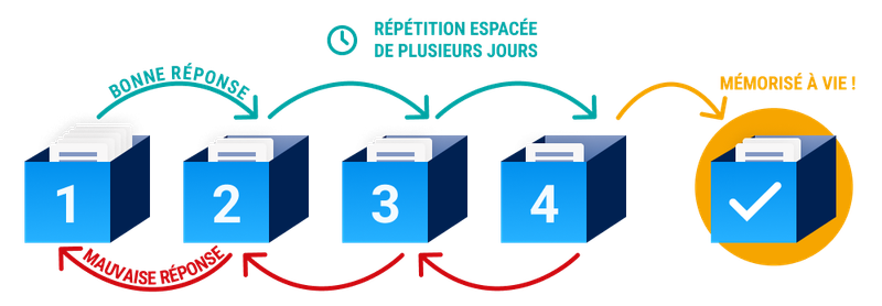 Le Système de Leitner : Maximisez votre Apprentissage avec une Méthode Éprouvée
