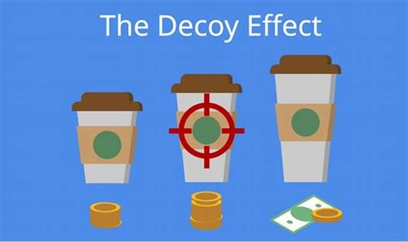 L'Effet de Leurre : le decoy effect