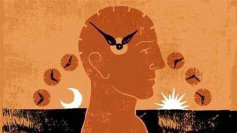 La Loi de Swoboda-Fliess-Teltscher : Maximiser la Productivité