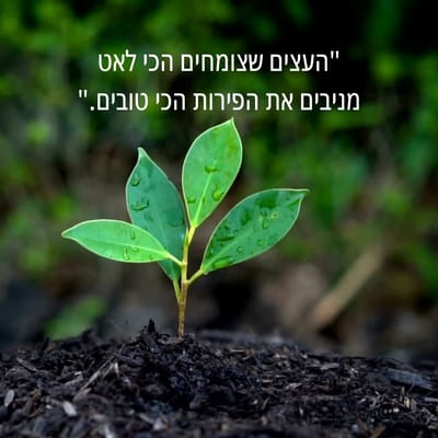 טו בשבט כהשראה לתכנון מטרות