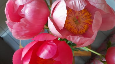 Explaining Rosen Method Bodywork