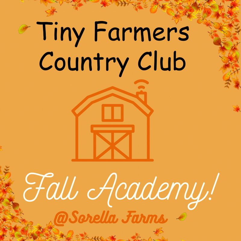 Tiny Farmers Country Club Fall Enrollment