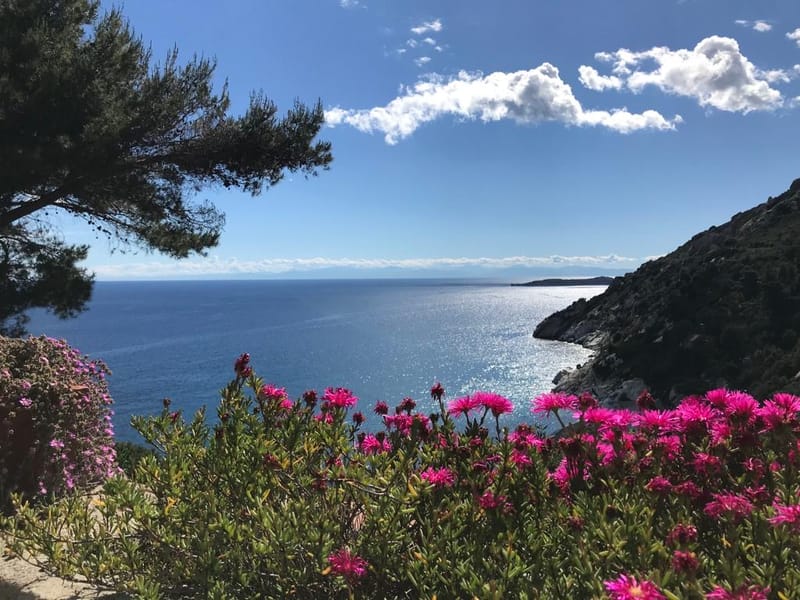 Die Villa Mare auf der Insel Elba