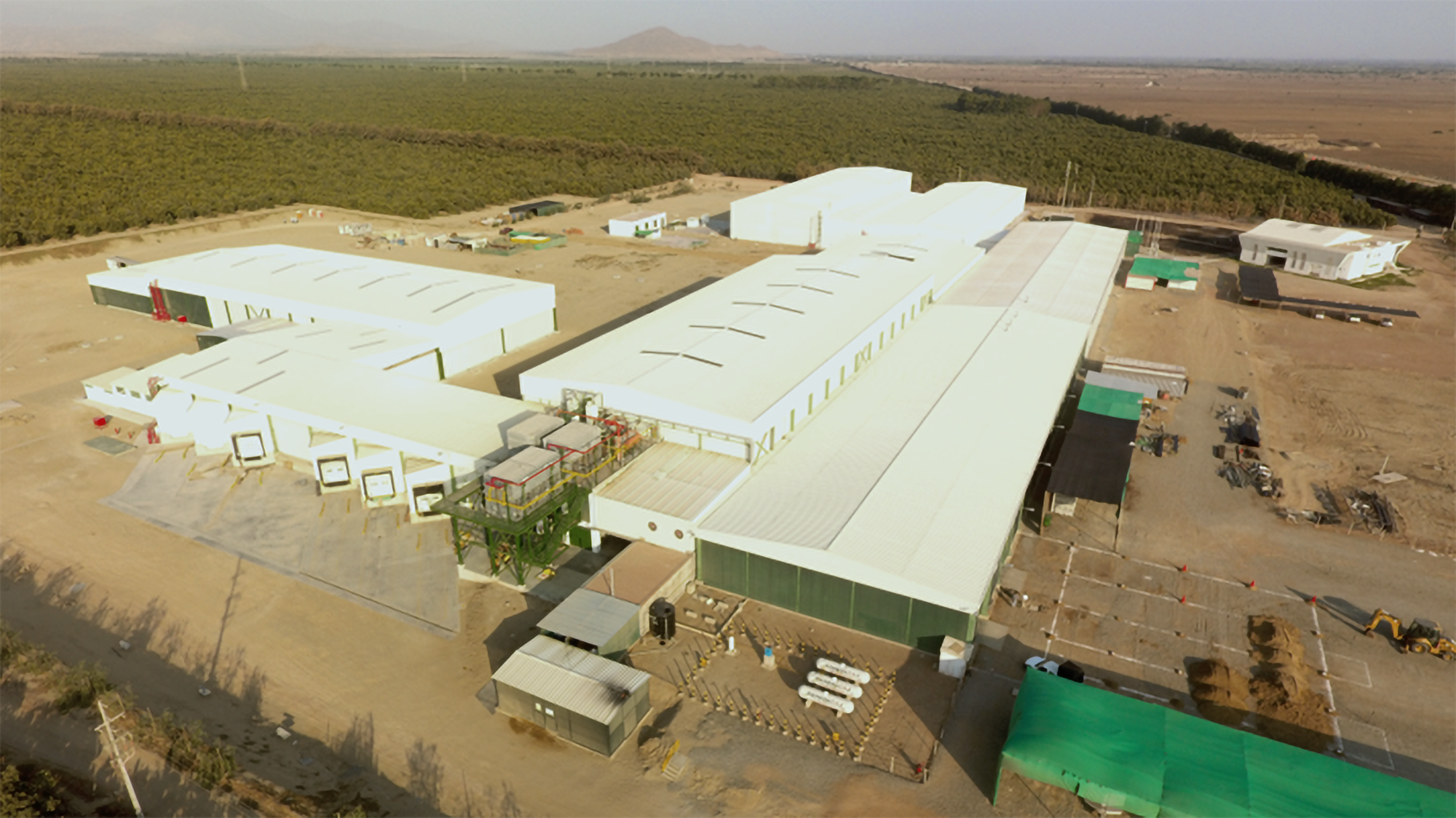 ACP - Agricola Cerro Prieto