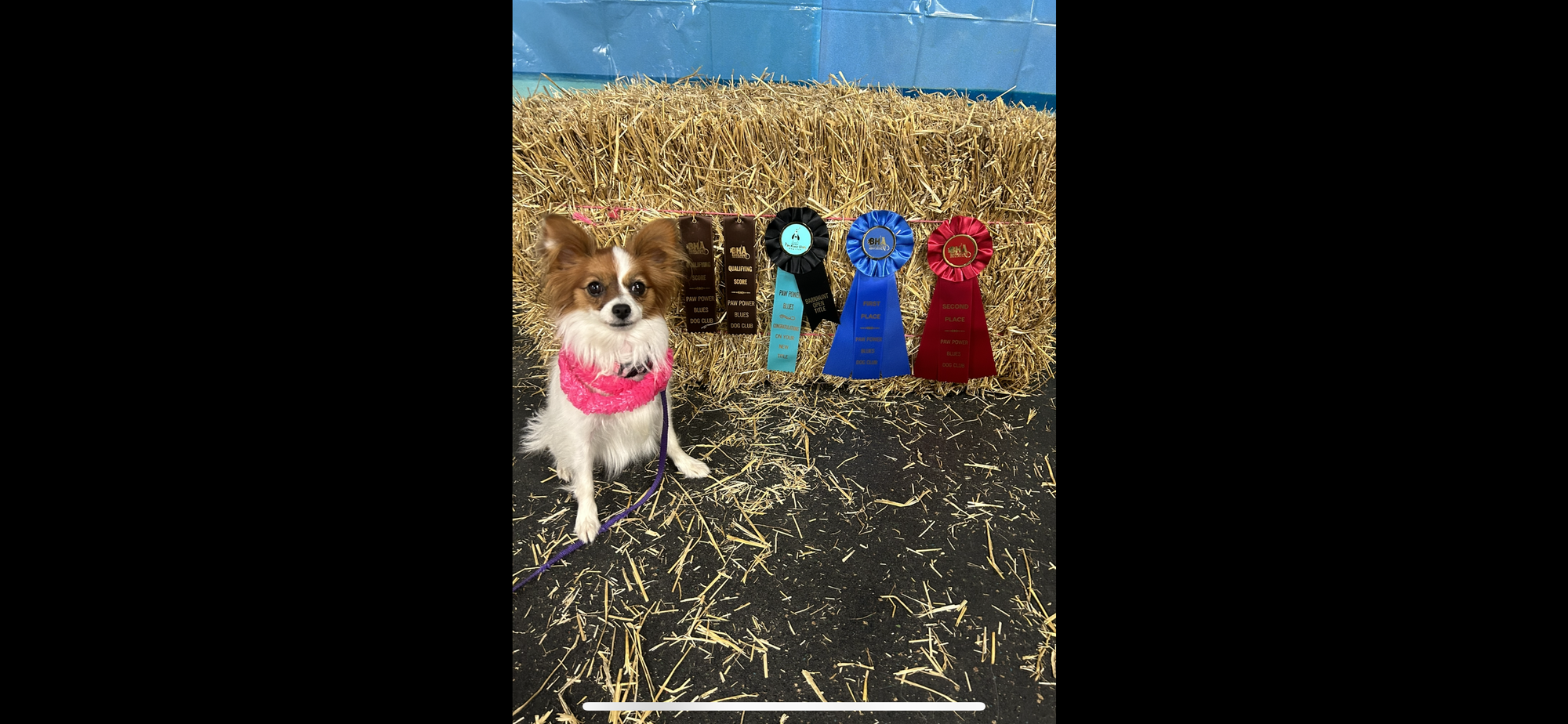 Larvae’s Evening Of The Perfect Day FDC TKN ATT RATO DN DJ