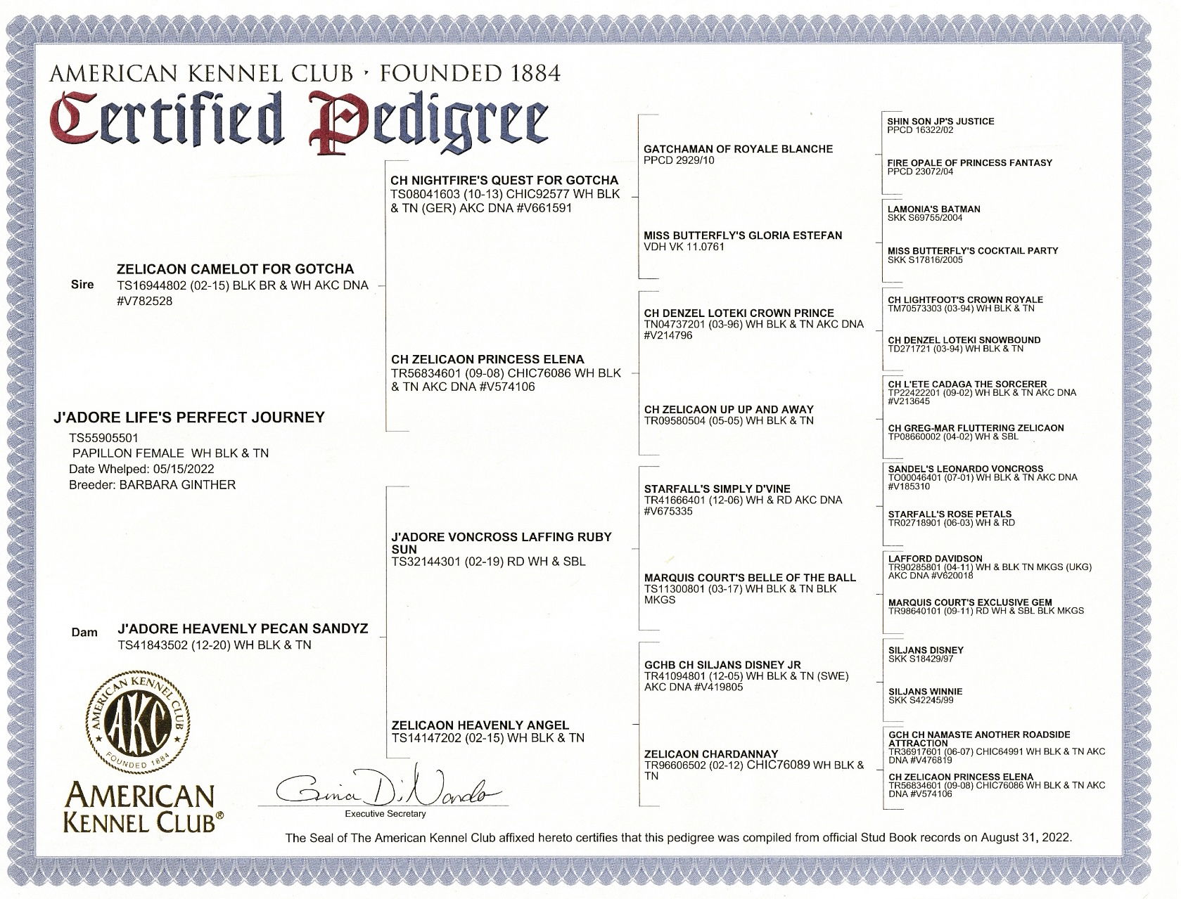 J’Adore Life’s Perfect Journey BN CD RE FDC XF AX AXJ CAA FCAT CGCA CGCU TKA RATS VHMA FTI DN DJ SSB VPA VSWB