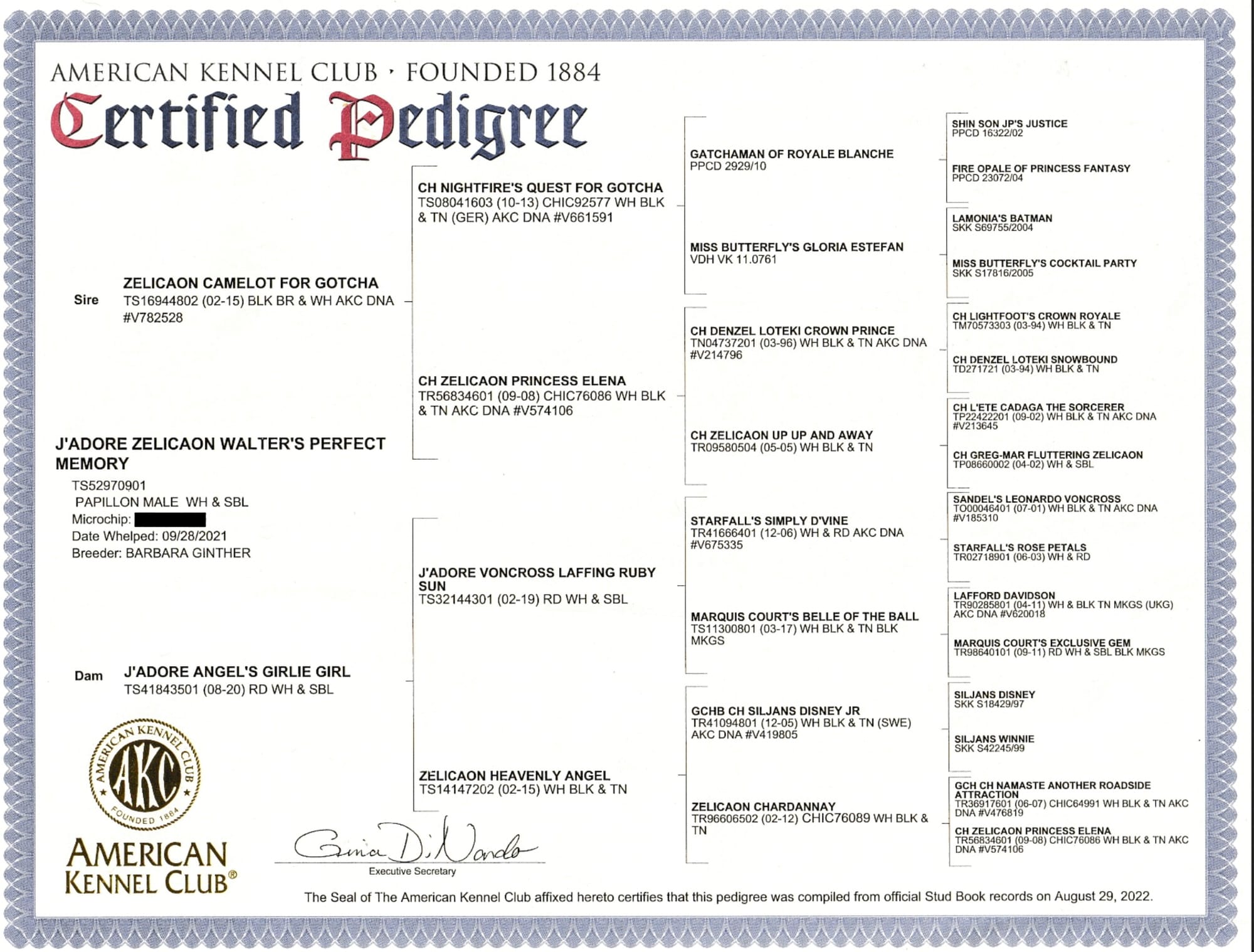 J’Adore Zelicaon Walter’s Perfect Memory FDC FCAT TKN ATT RATS FTI CAA