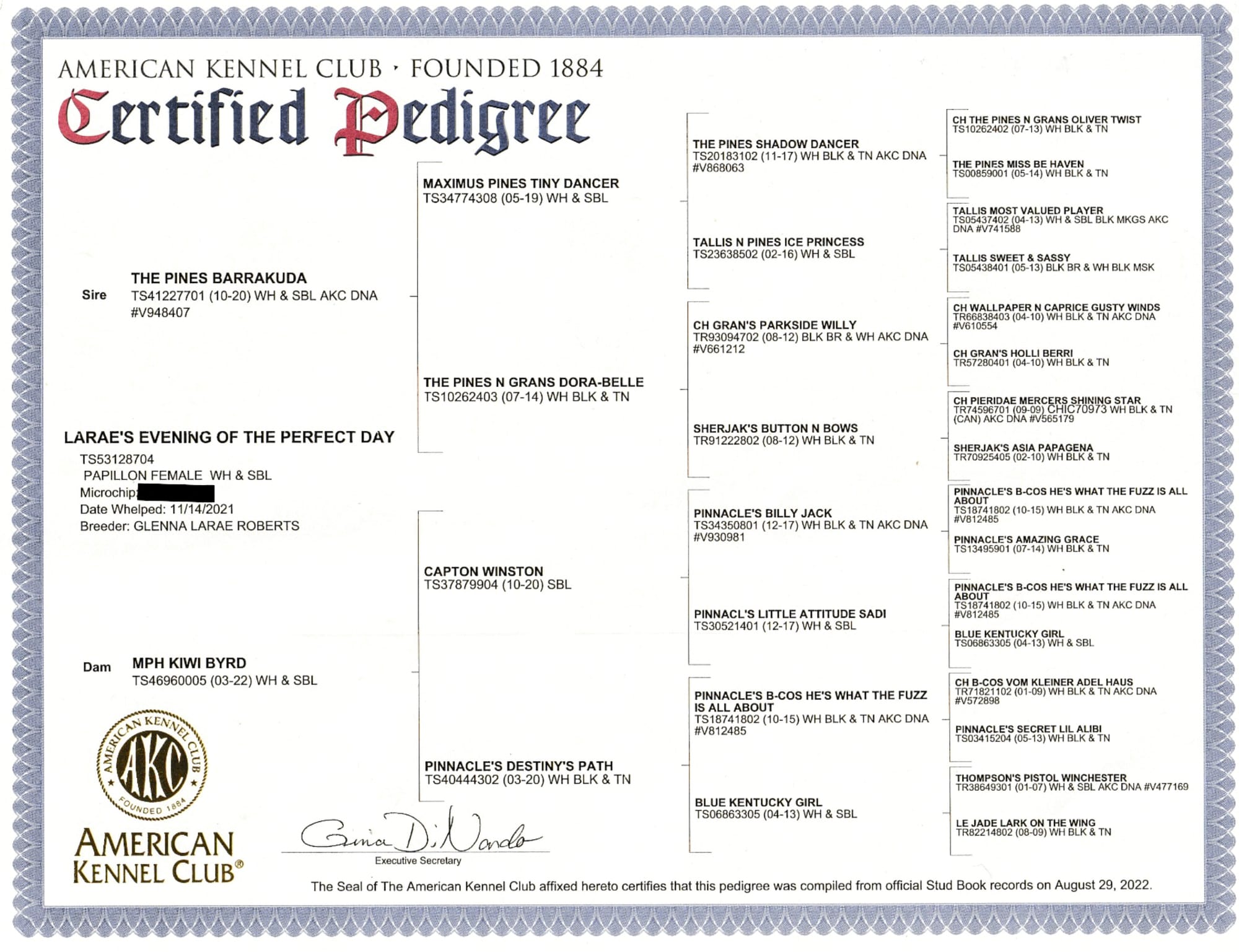 Larvae’s Evening Of The Perfect Day FDC TKN ATT RATO DN DJ