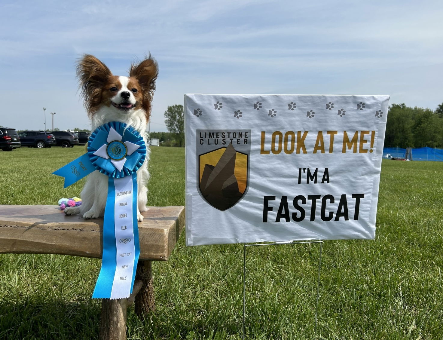 J’Adore Zelicaon Walter’s Perfect Memory FDC FCAT TKN ATT RATS FTI CAA