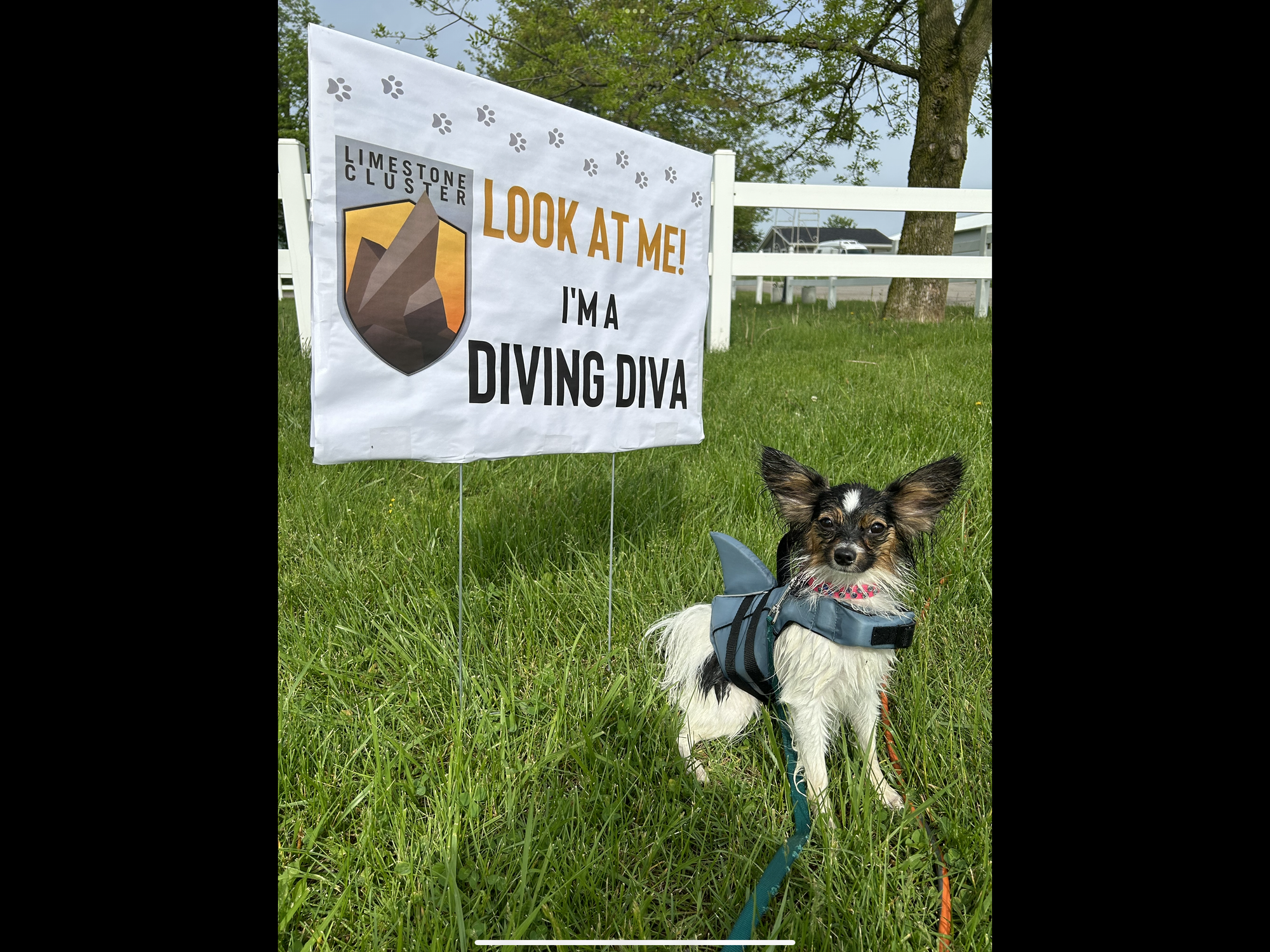 J’Adore Life’s Perfect Journey BN CD RE FDC XF AX AXJ CAA FCAT CGCA CGCU TKA RATS VHMA FTI DN DJ SSB VPA VSWB