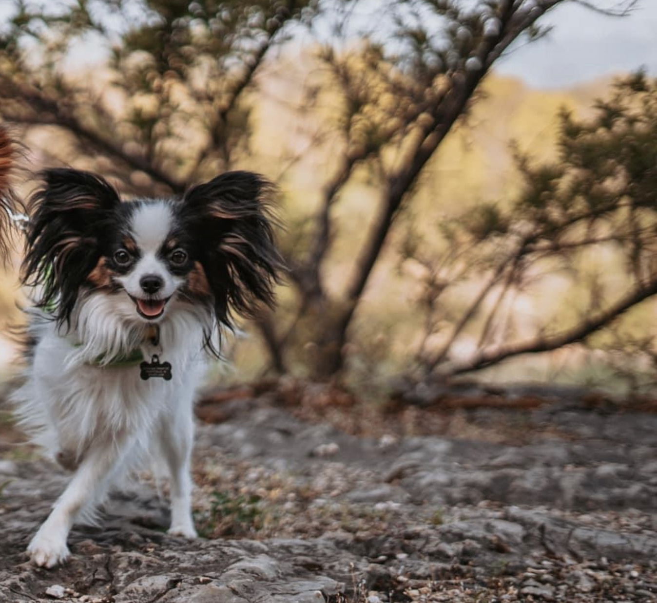 Perfect Love Like The Wind FDC BCAT TKN ATT RATN CA