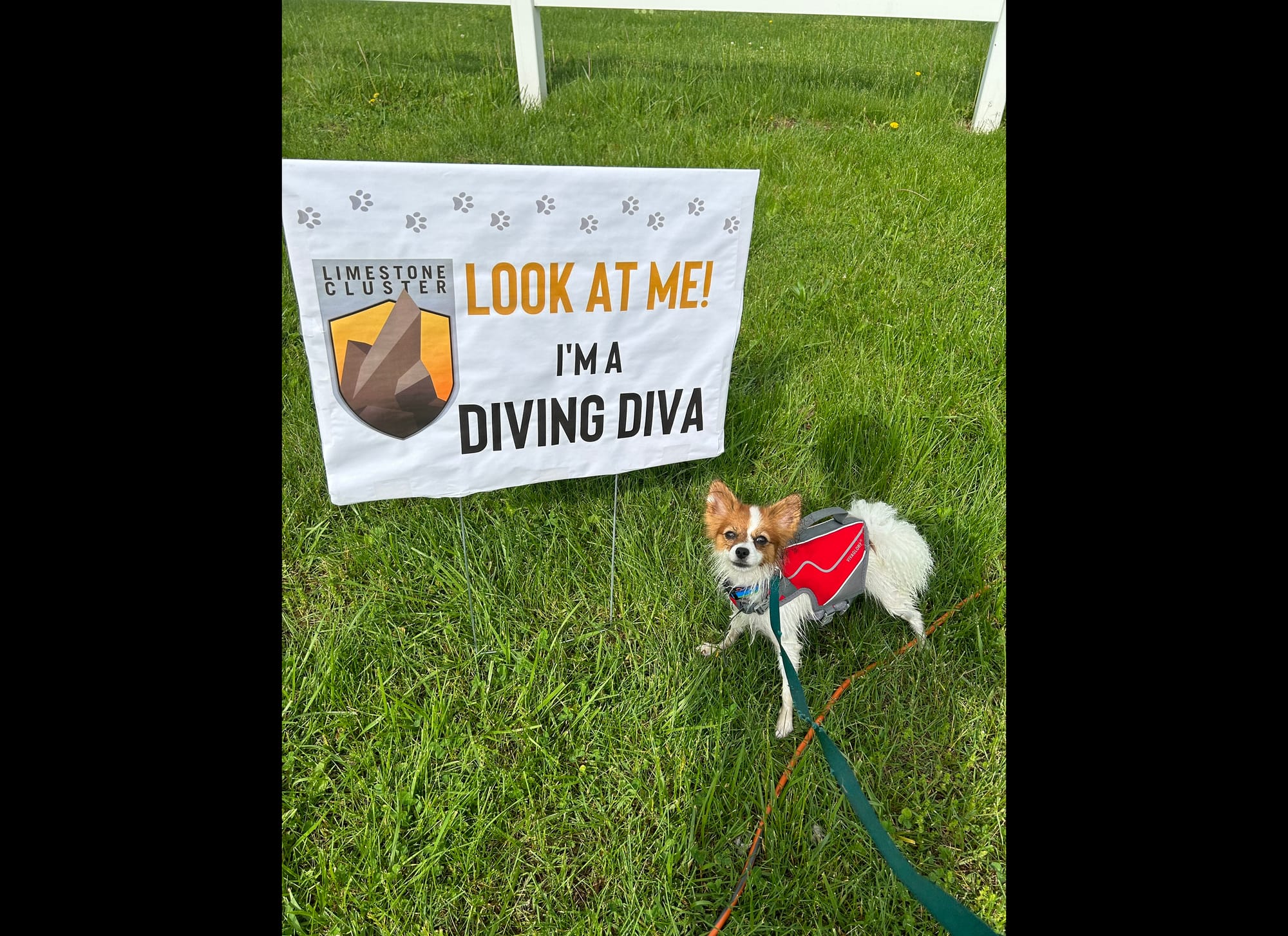 Larvae’s Evening Of The Perfect Day FDC TKN ATT RATO DN DJ