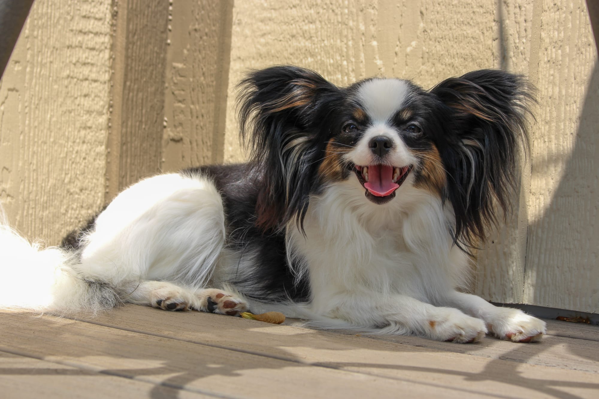 Perfect Love Like The Wind FDC BCAT TKN ATT RATN CA