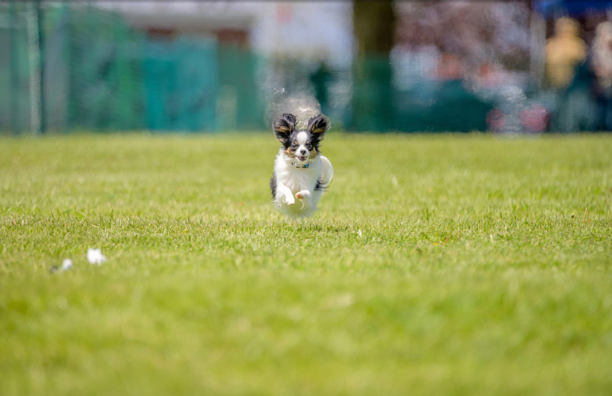Perfect Love Like The Wind FDC BCAT TKN ATT RATN CA