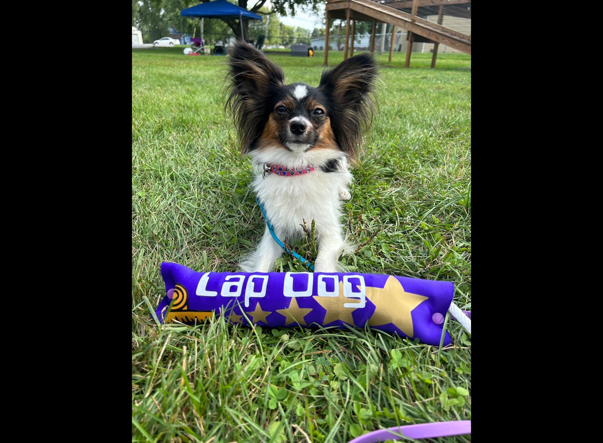 J’Adore Life’s Perfect Journey BN CD RE FDC XF AX AXJ CAA FCAT CGCA CGCU TKA RATS VHMA FTI DN DJ SSB VPA VSWB