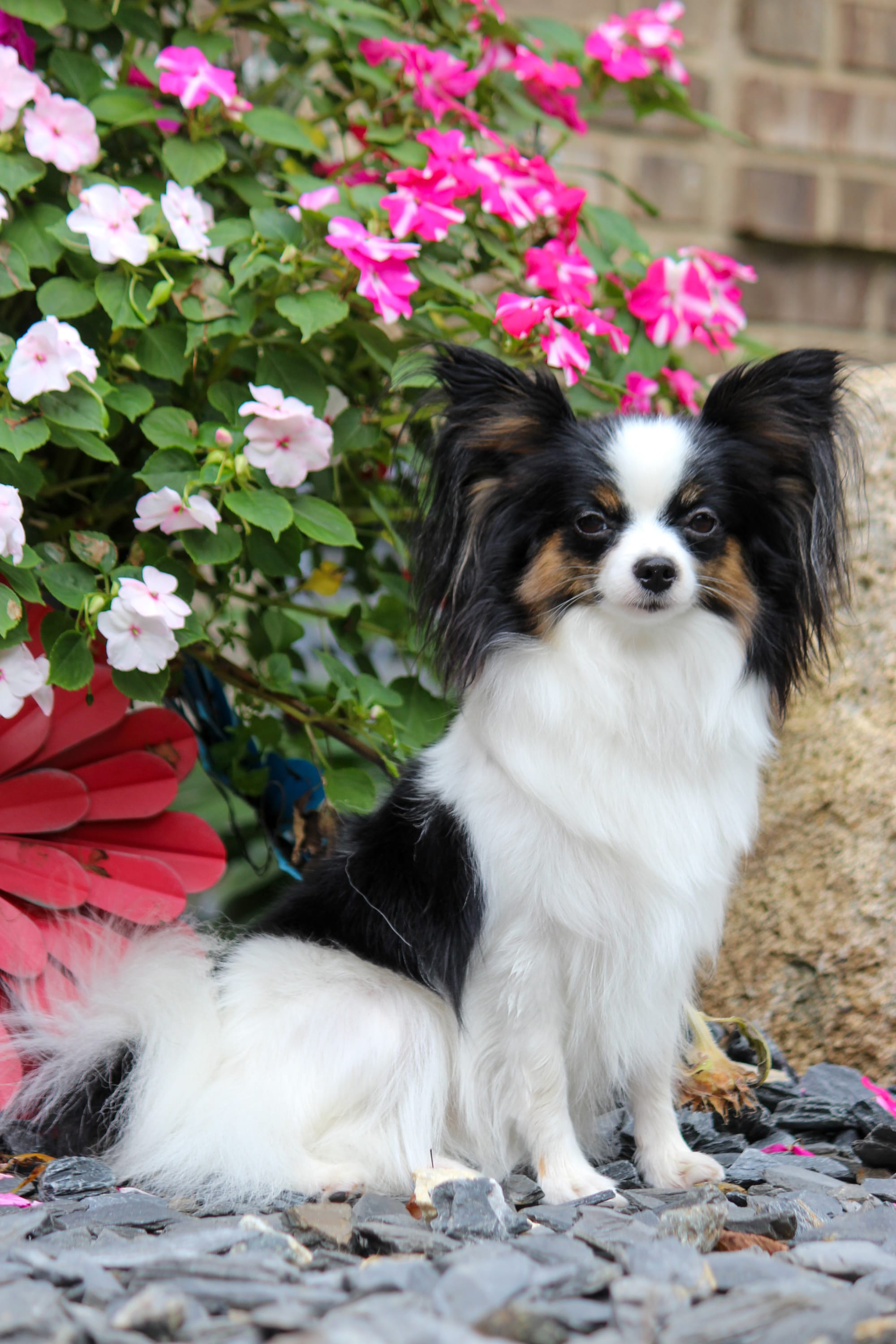 Perfect Love Like The Wind FDC BCAT TKN ATT RATN CA