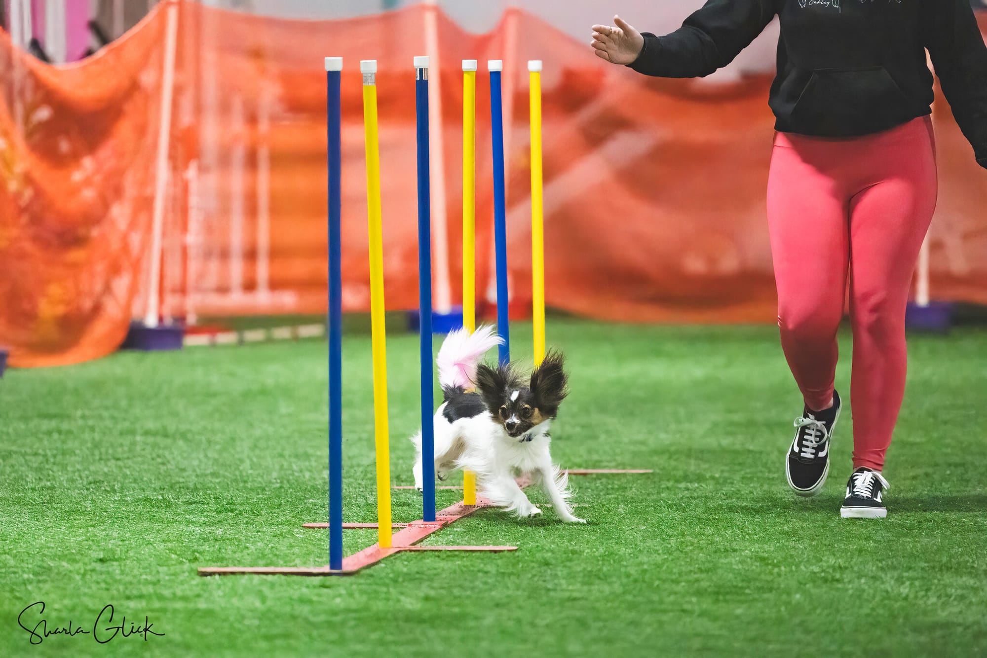 J’Adore Life’s Perfect Journey BN CD RE FDC XF AX AXJ CAA FCAT CGCA CGCU TKA RATS VHMA FTI DN DJ SSB VPA VSWB