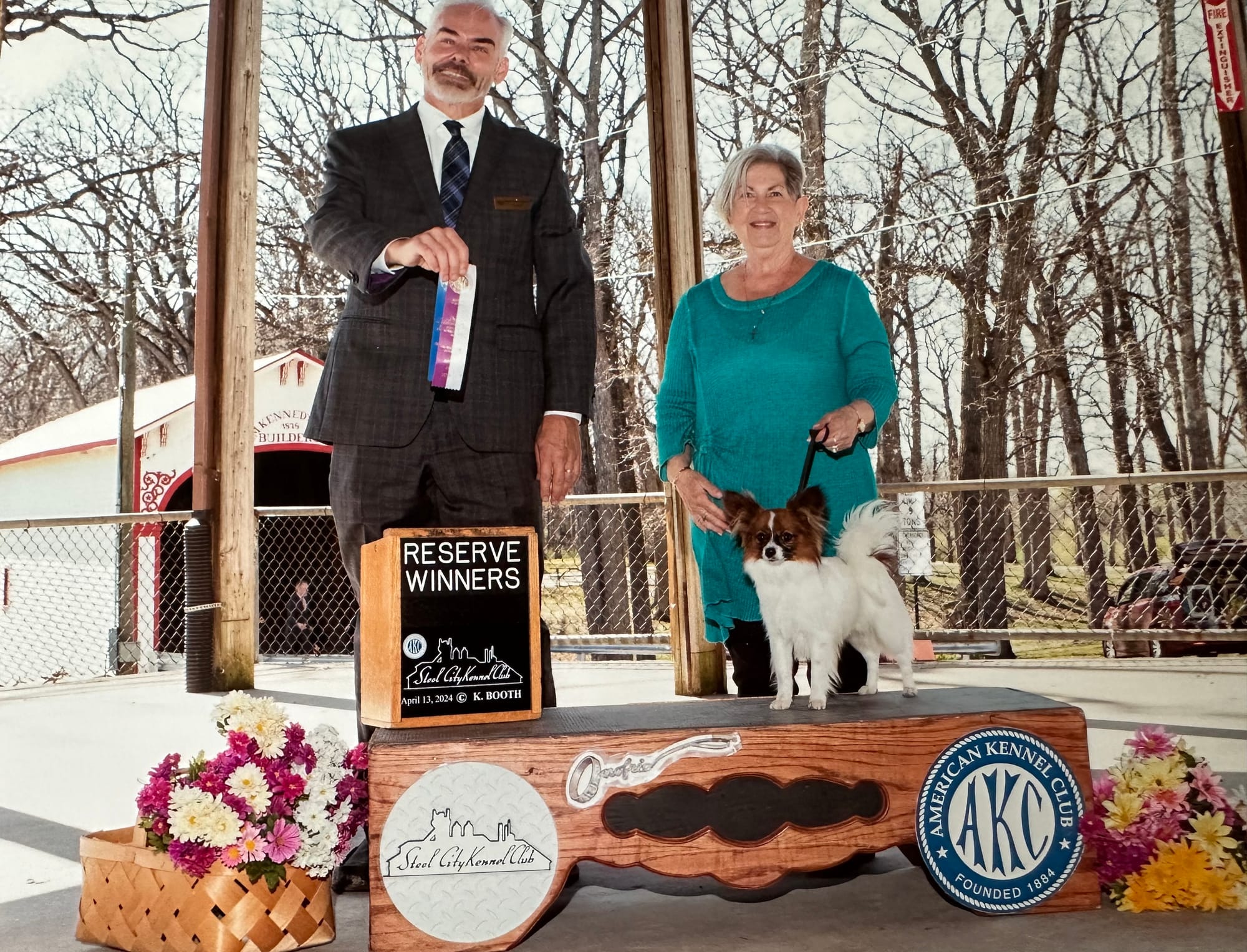 AKC Major Pointed UKC Group Placing Perfect Teddy Bear Dream ATT FDC DCAT CA