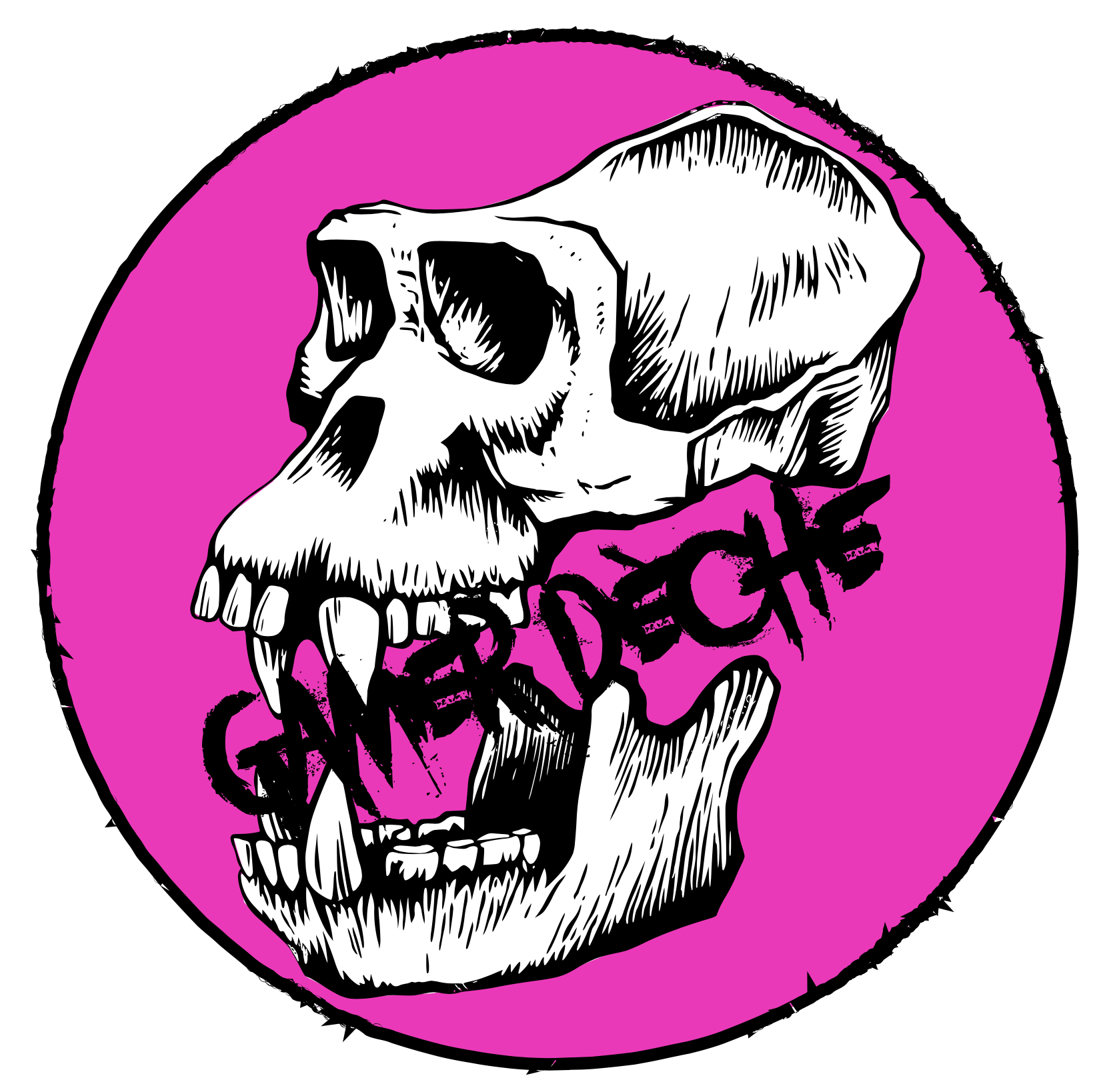 gamer dèche