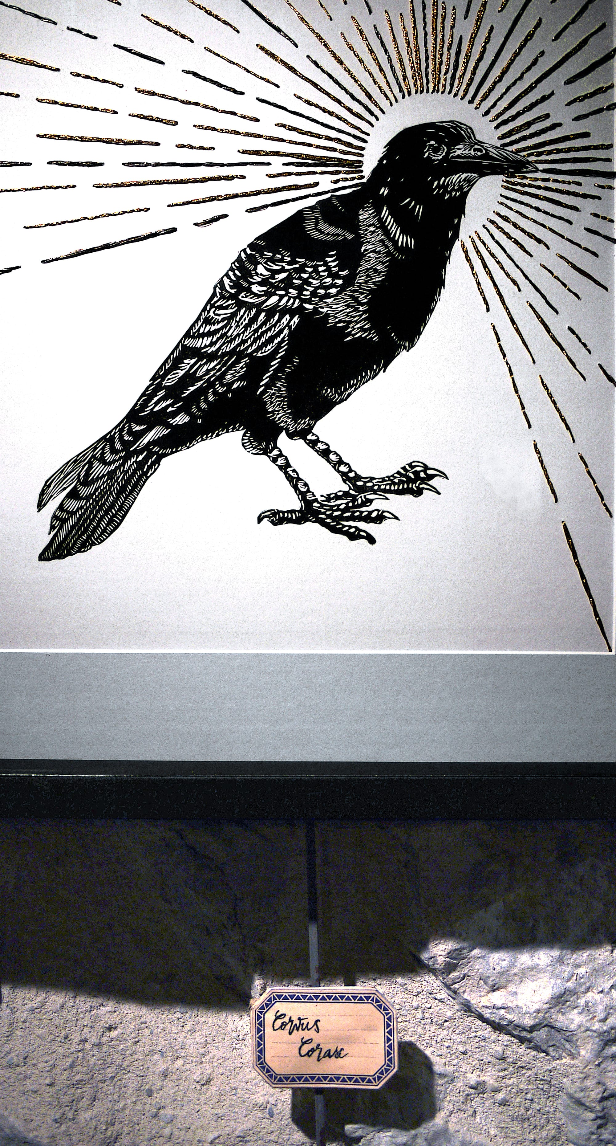 Corbeau