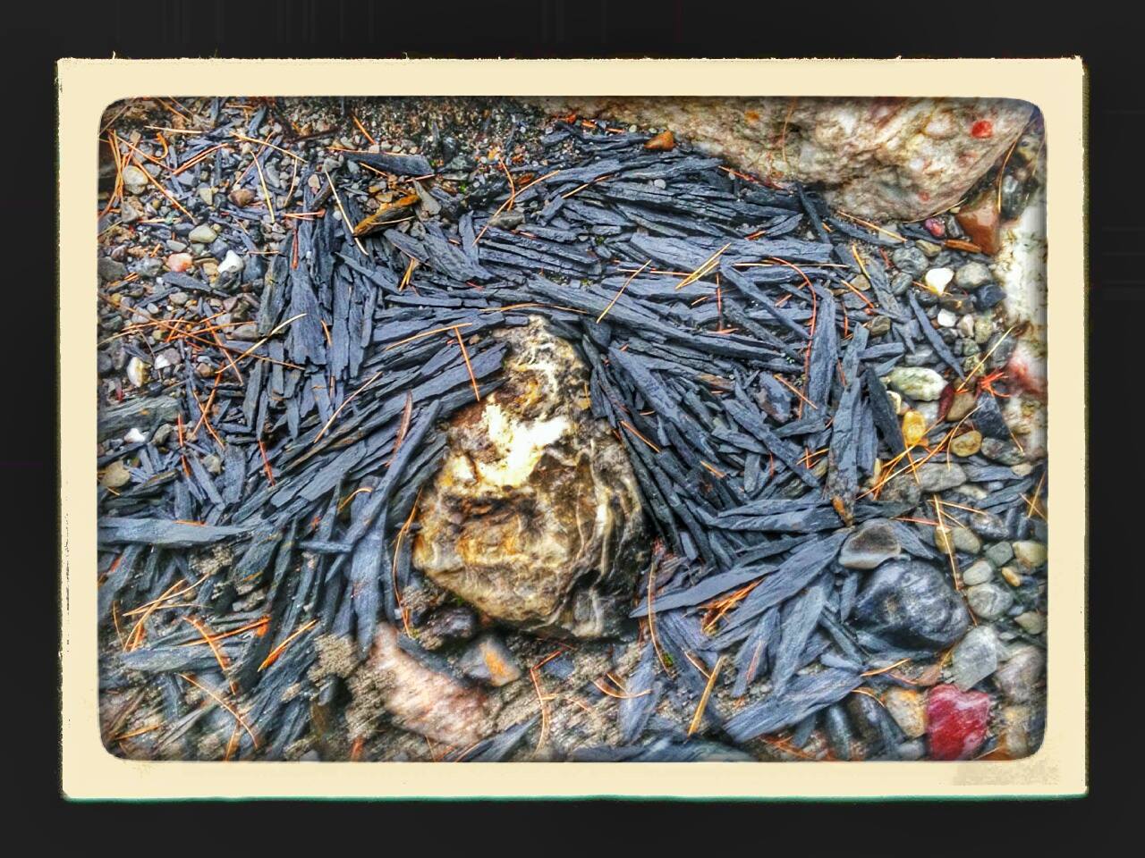 ready made land-art