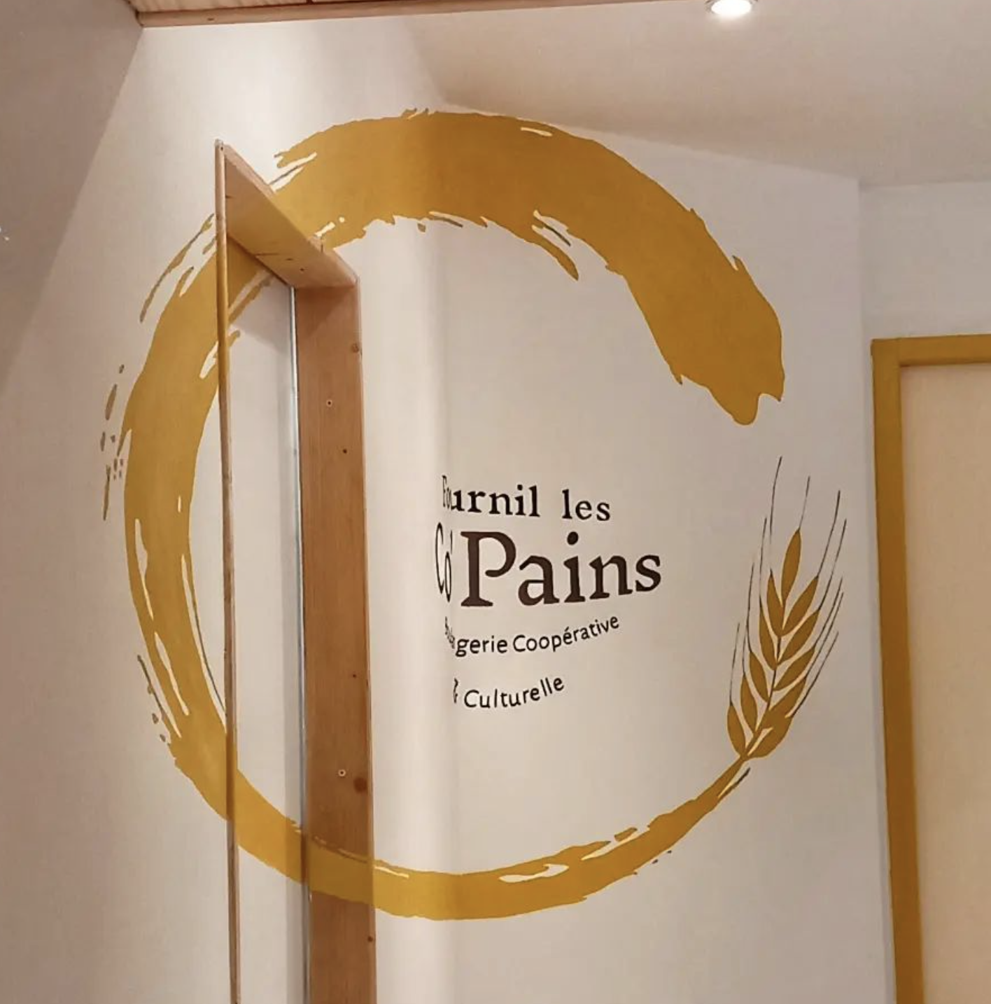 anamorphoses