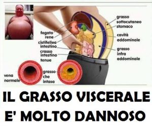 Grasso viscerale cos'è?