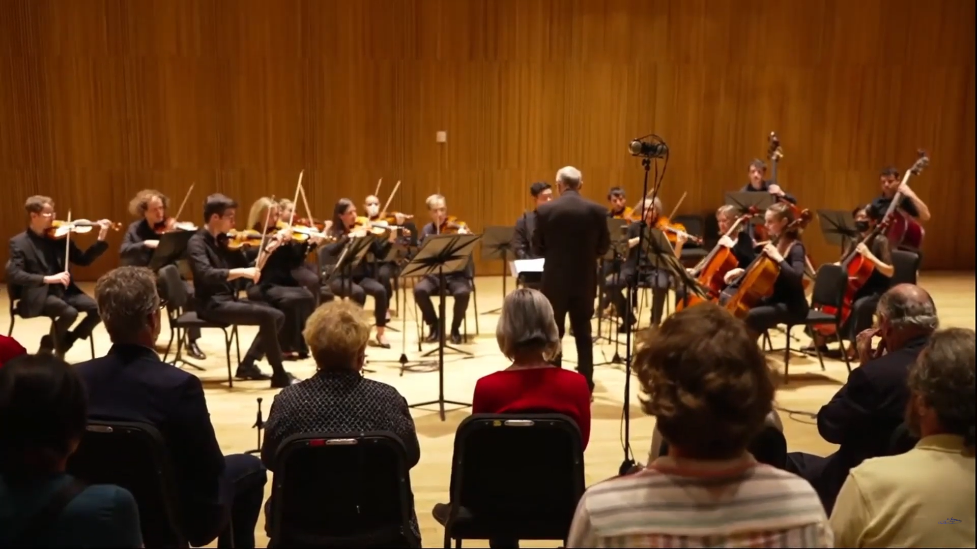 Feniciană *World Premiere* June 2023