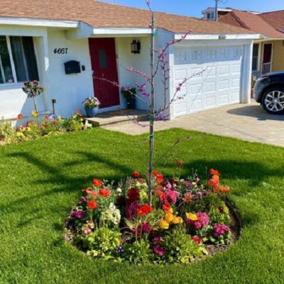 Professional Landscaping In Los Angeles For Residential And Commercial Services