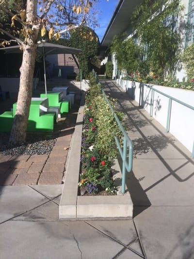 DreamWork Landscape: The Full-Service Landscape Company In Greater Los Angeles