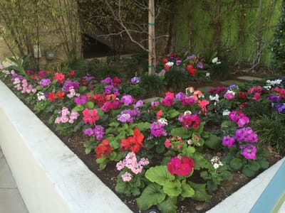 Custom Landscape Design With DreamWork Landscape In Los Angeles