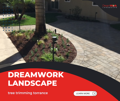 Irrigation Repair and Paver Installation Services Near You: Enhance Your Outdoor Space with DreamWork Landscape