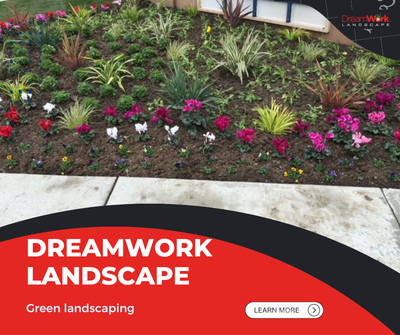 Transform Your Outdoor Spaces with DreamWork Landscape: The Leading Landscaping Company in Torrance