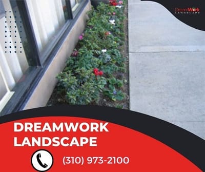 Transforming Outdoor Spaces: Elevate Your Surroundings with DreamWork Landscape