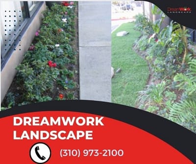 Elevate Your Outdoor Space with DreamWork Landscape's Comprehensive Services