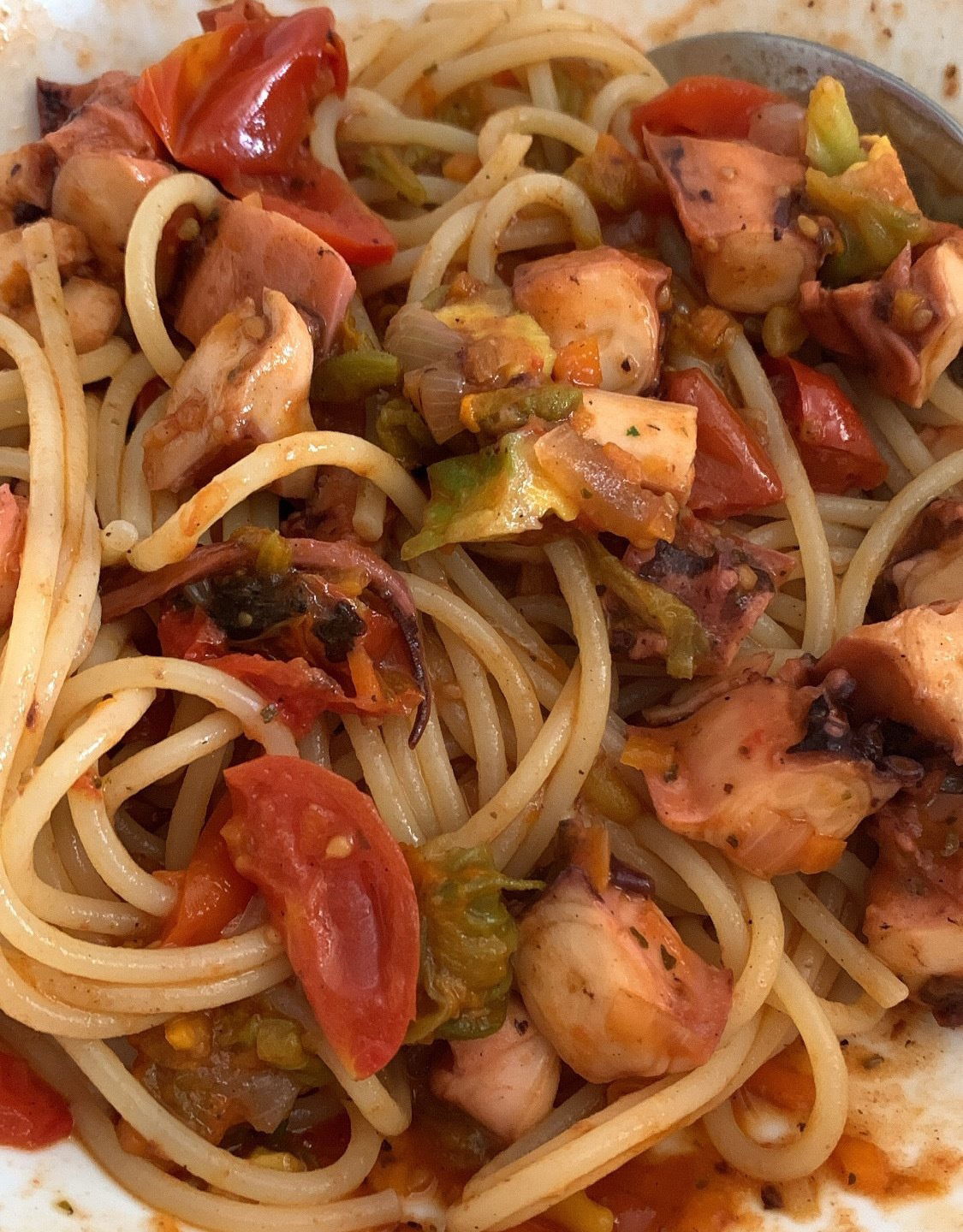 Pasta con sugo al polpo