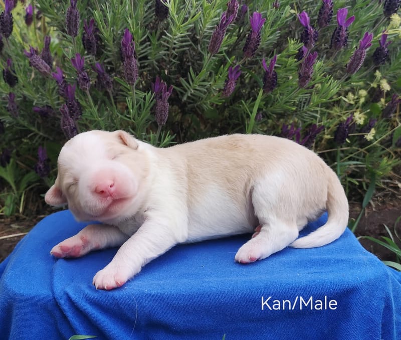 Megszülettünk!/We were born!