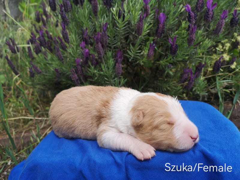 Megszülettünk!/We were born!