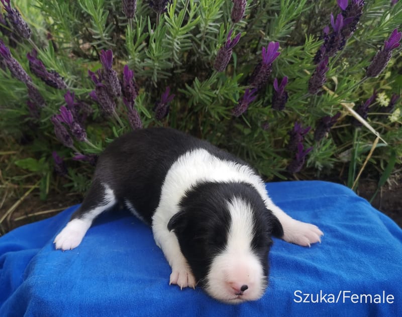 Megszülettünk!/We were born!