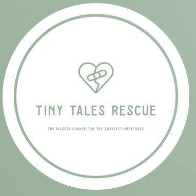 Tiny Tales | Small Animal Rescue