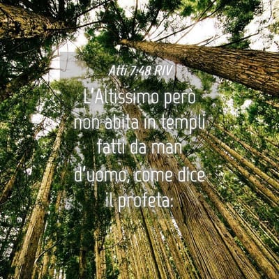 Chi siamo  image