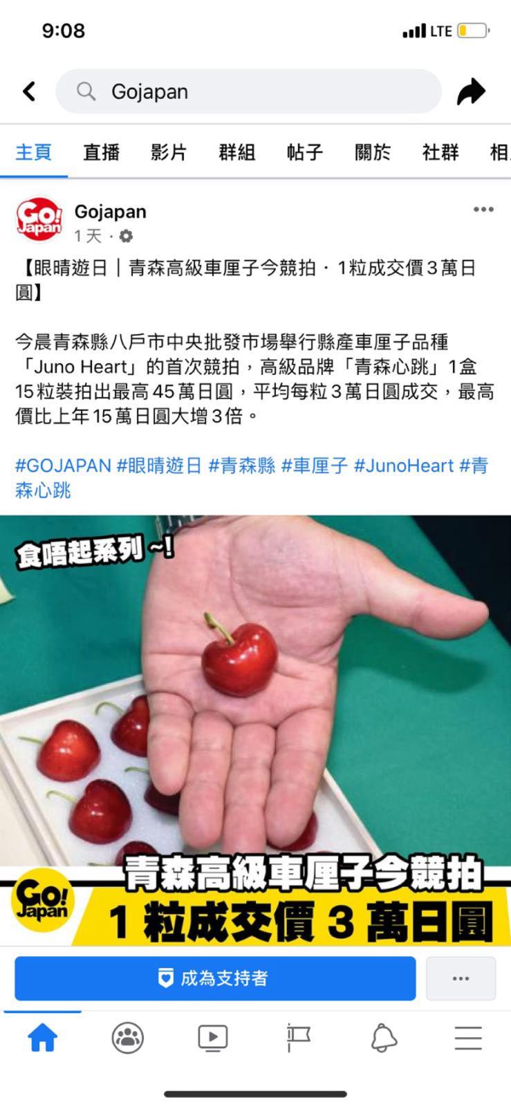 新聞報導及宣傳品